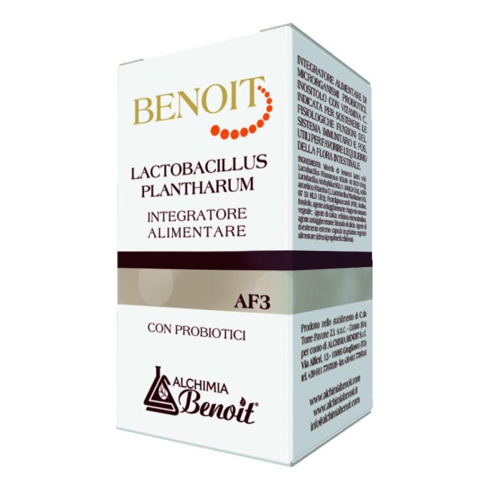Benoit Lactobacillus Plantharu Integratore Probiotico Ad Alto Dosaggio Per Benessere Intestinale E Supporto Della Flora Batterica