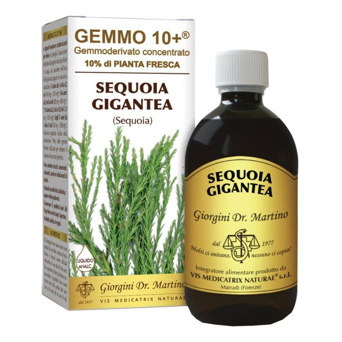 Sequoia Gemmo 10+ Macerato Glicerico Analcolico 500 ml Integratore Naturale