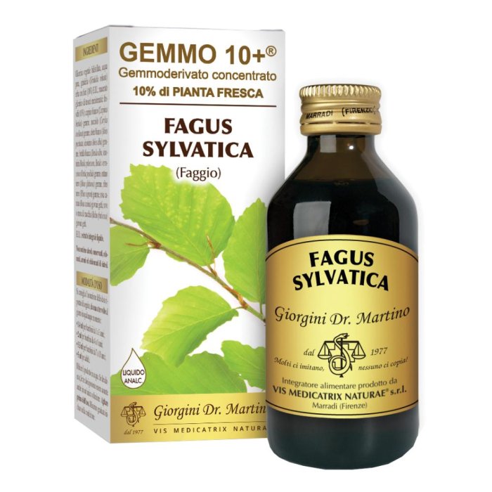 Faggio 100 ml analcolico gemmoderivato 10+ - macerato glicerico analcolico di faggio