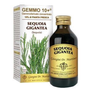 G10 + Sequoia Gigantea Dr. Giorgini 100ml