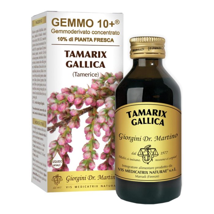 Dr.giorgini Ser-vis Gemmo 10+ Tamerice 100 Ml Liquido Analcolico
