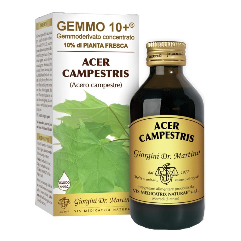 Acero Campestre Macerato Glicerico Analcolico Gemmoderivato 100 ml Analco Gem