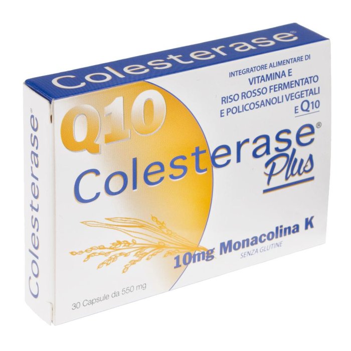 Wp Corporate Colesterase Plus 30 Capsule