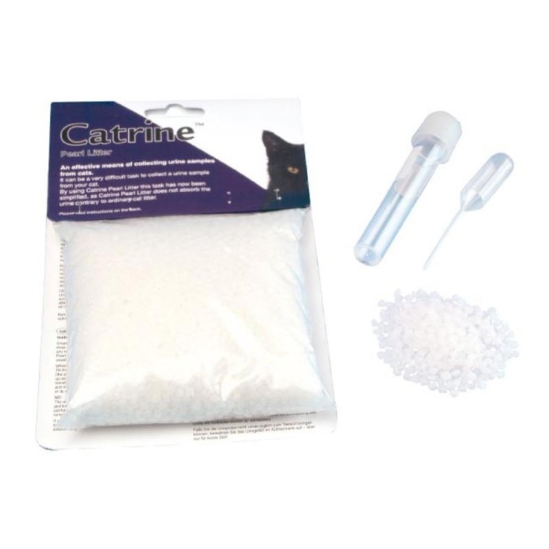 Demas Catrine Esami Urine Gatto