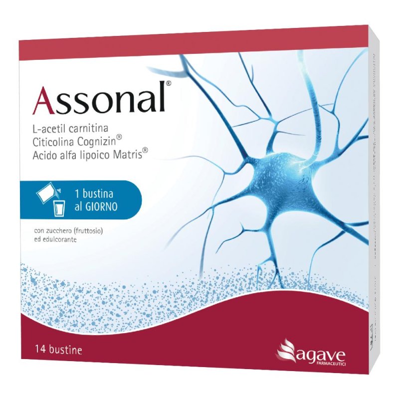 ASSONAL 14BUST ASSONAL 14BUST