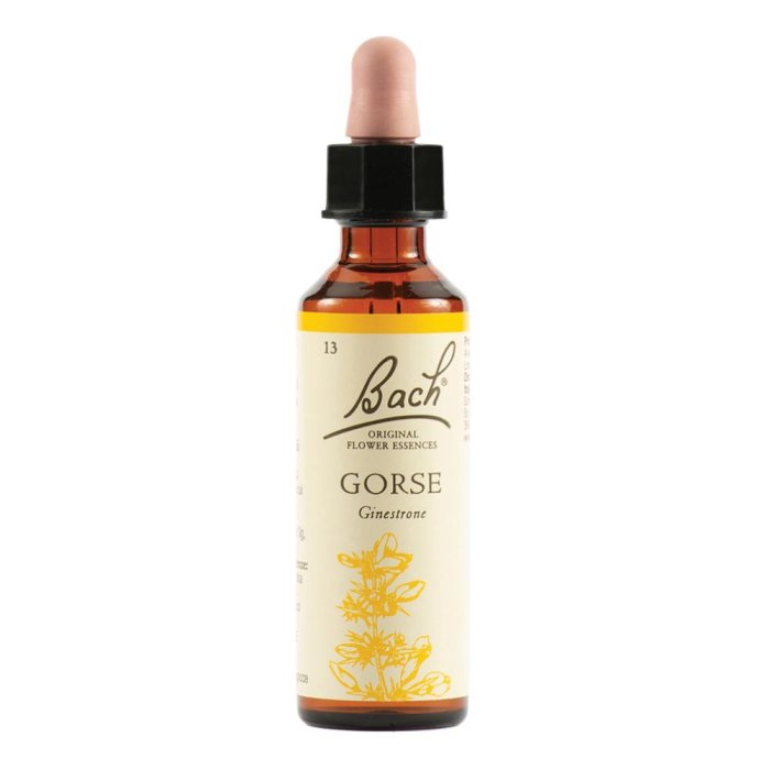 Gorse Fiore di Bach Originale N. 13 20 ml – Rimedio Floreale per Speranza e Ottimismo Bloom