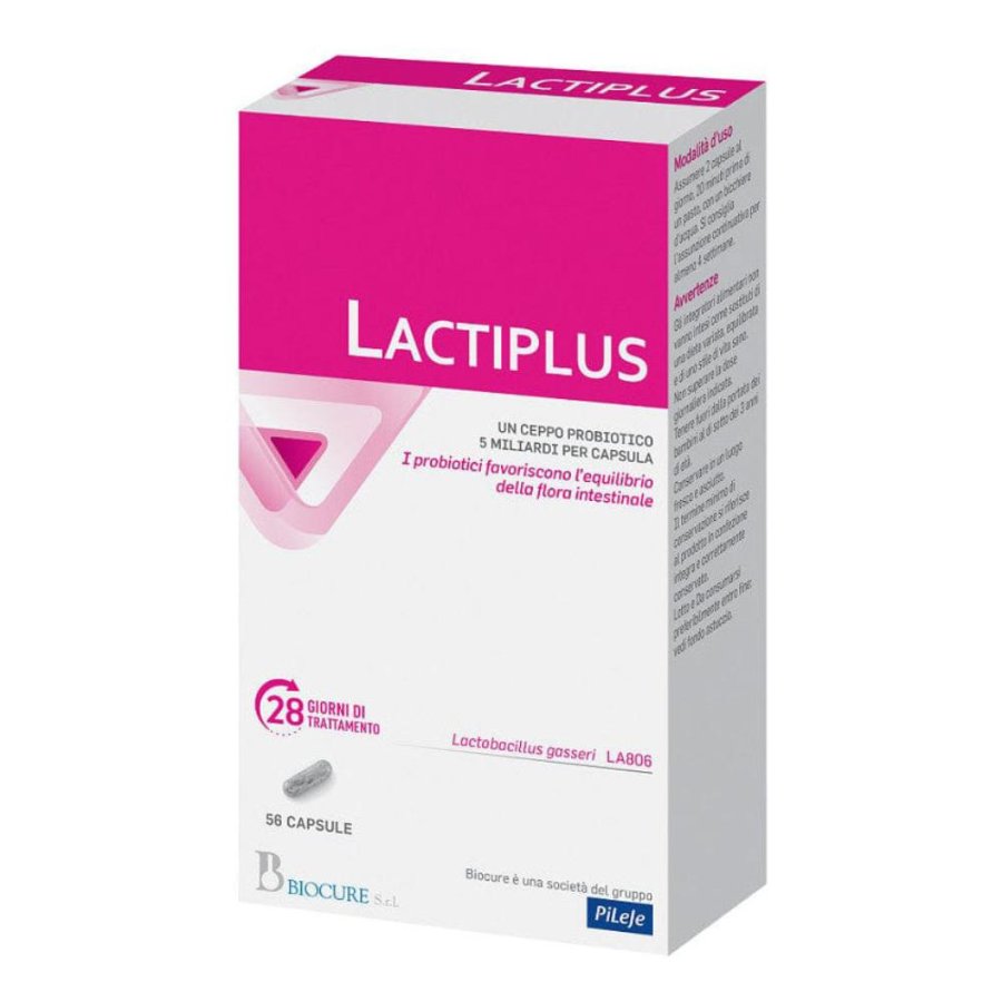 Lactiplus 56 Capsule Integratore Probiotico a Base di Fermenti Lattici Vivi per l’Equilibrio della Flora Intestinale Lactiplus 56 Capsule Integratore Probiotico a Base di Fermenti Lattici Vivi per l’Equilibrio della Flora Intestinale