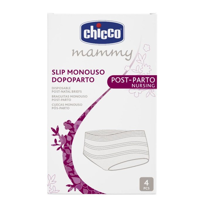 Chicco (artsana) Ch Slip Rete Monouso Dopoparto Tg Unica