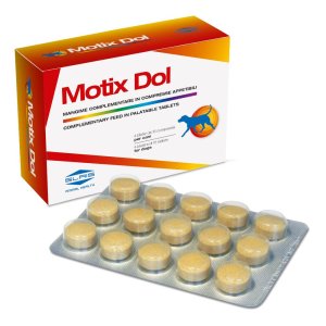 Slais Motix Dol 60 Compresse 48 G