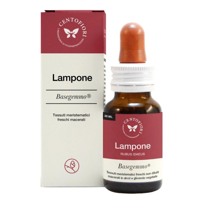 BASEGEMMO LAMPONE 30ML