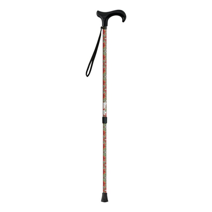 Bastone da Passeggio Derby Colibrì Elegante e Resistente per Anziani Uomo Donna