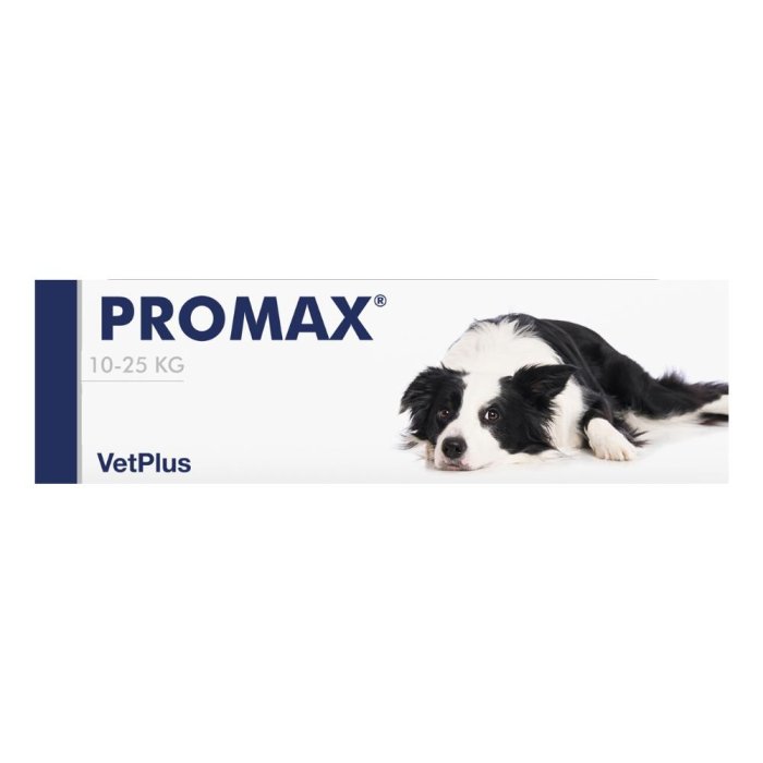 Promax Breed Medium 18 Millilitri Pasta Intestinale per Cani di Taglia Media – Integratore per Equilibrio della Flora Intestinale