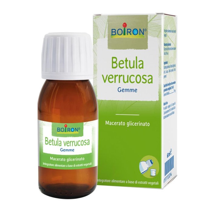 Betula Verrucosa Gemme 1DH 60 ml Macerato Glicerico di Betula Integratore Naturale Drenante e Depurativo