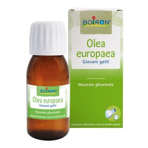 Integratore a Base di Olea Europea Macerato Glicerico 60 ml per il Benessere Cardiovascolare e la Pressione Arteriosa