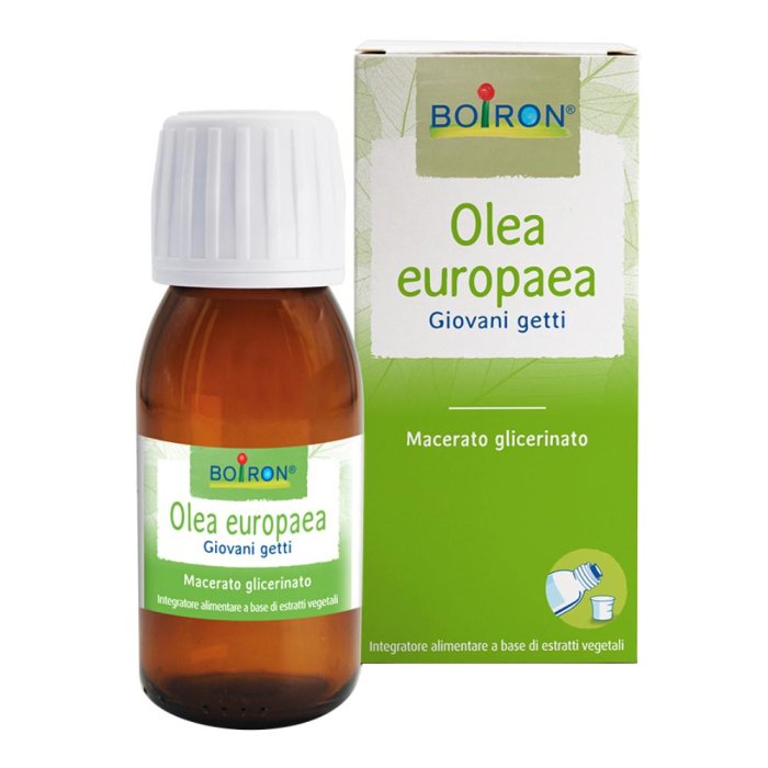 Integratore a Base di Olea Europea Macerato Glicerico 60 ml per il Benessere Cardiovascolare e la Pressione Arteriosa