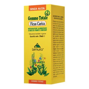 Ficus Carica 100 ml - gemmoderivato in gocce di fico