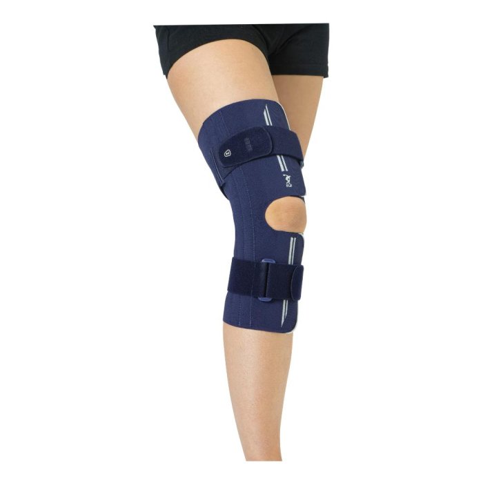 FGP Phyloetek61 Gin.Ap.C/St.XL