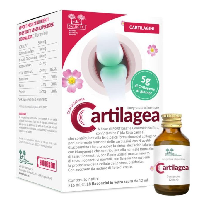 Cartilagea - Integratore per la Salute Articolare e il Benessere della Cartilagine 18 flaconcini