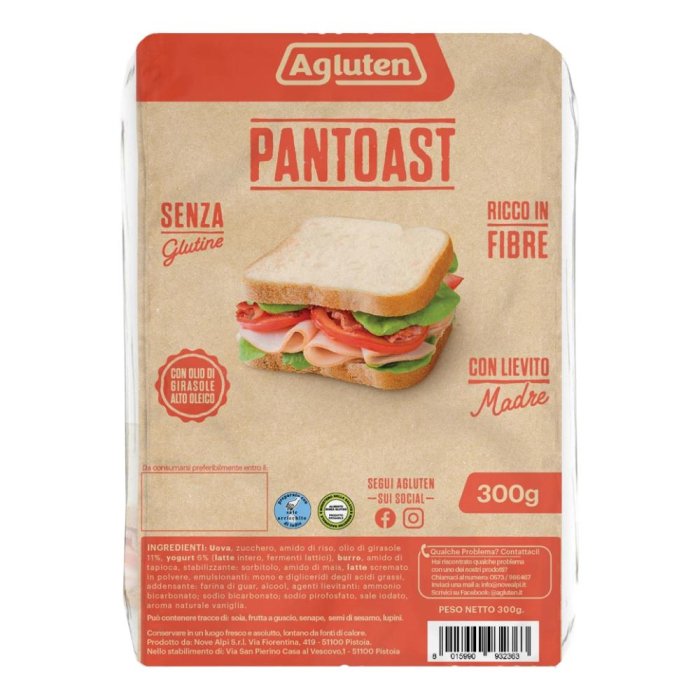 Pantoast Agluten senza glutine 300g